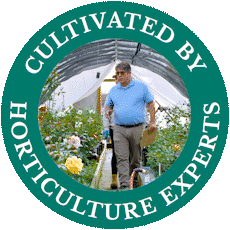 Cultivated by Horticulture Experts