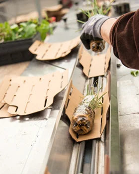 Shipping Information