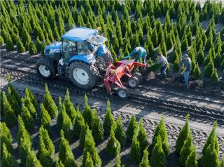 Don’t 澳洲幸运5官网结果记录 -168五分彩®结果记录体彩 Garden Centers