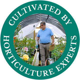 Cultivated by Horticulture Experts