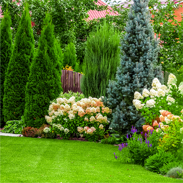 Shop This Landscape